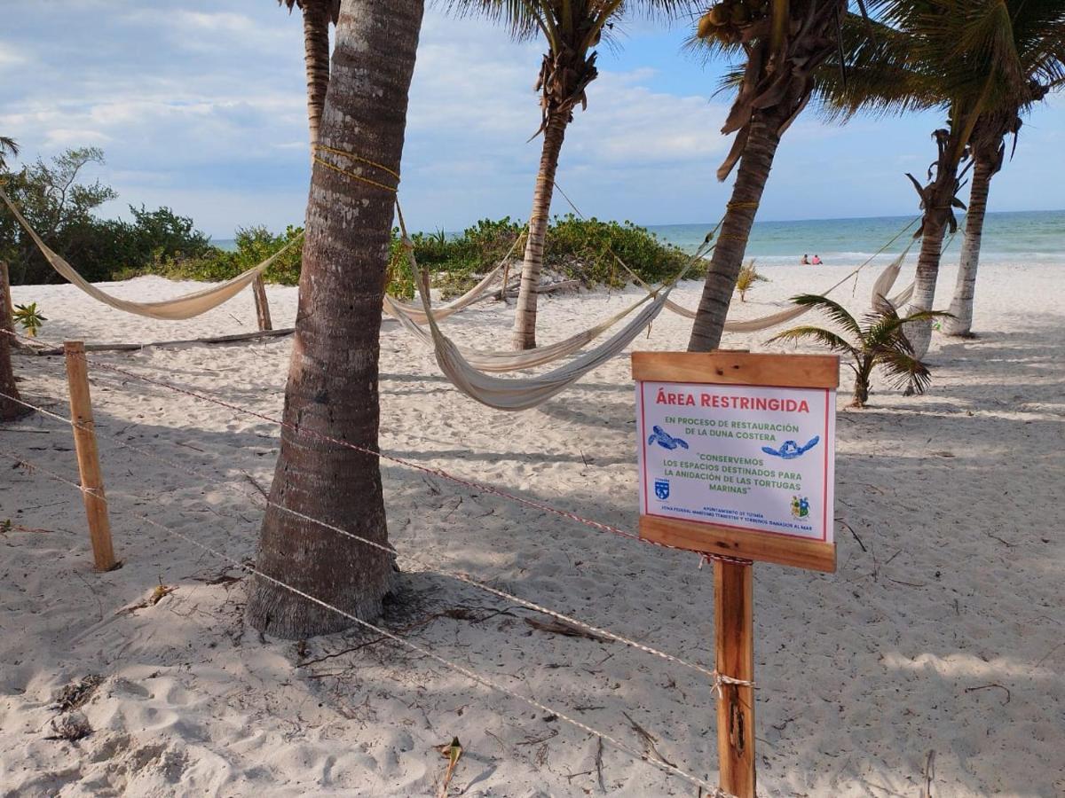 Casa Mate Beachfront Cabanas El Cuyo Eksteriør billede